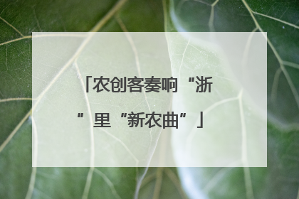 农创客奏响“浙”里“新农曲”