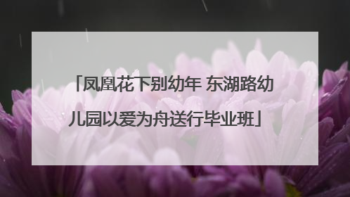 凤凰花下别幼年 东湖路幼儿园以爱为舟送行毕业班