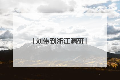 刘伟到浙江调研