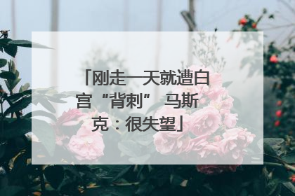 刚走一天就遭白宫“背刺” 马斯克：很失望