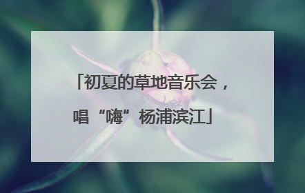 初夏的草地音乐会，唱“嗨”杨浦滨江