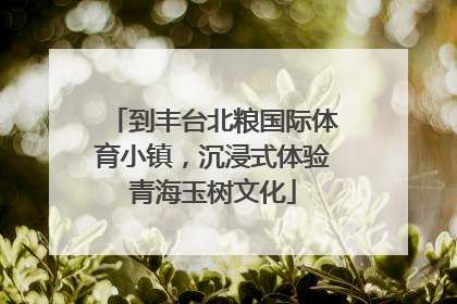 到丰台北粮国际体育小镇，沉浸式体验青海玉树文化