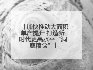 加快推动大面积单产提升 打造新时代更高水平“洞庭粮仓”