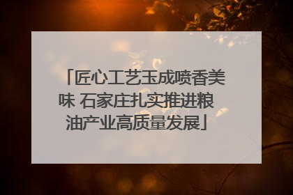 匠心工艺玉成喷香美味 石家庄扎实推进粮油产业高质量发展