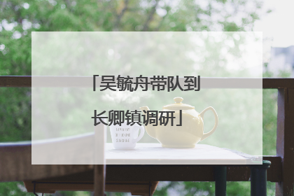 吴毓舟带队到长卿镇调研