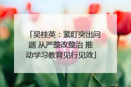 吴桂英：紧盯突出问题 从严整改整治 推动学习教育见行见效
