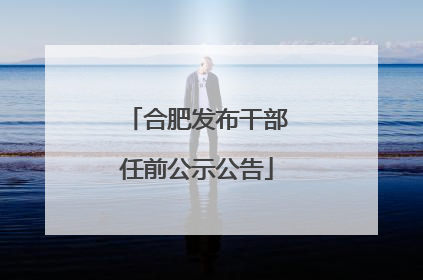 合肥发布干部任前公示公告
