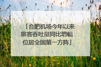 合肥机场今年以来旅客吞吐量同比增幅位居全国第一方阵