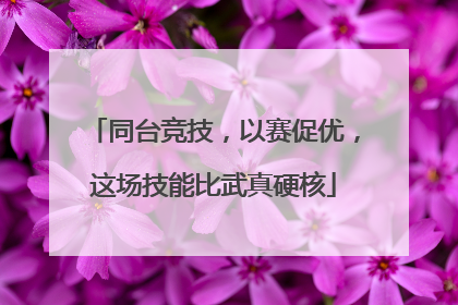 同台竞技，以赛促优，这场技能比武真硬核