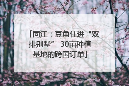 同江：豆角住进“双排别墅” 30亩种植基地的跨国订单