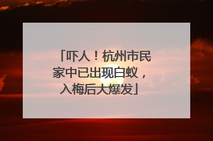 吓人！杭州市民家中已出现白蚁，入梅后大爆发