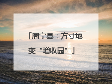 周宁县：方寸地变“增收园”
