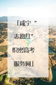 咸宁“志愿红”织密高考服务网