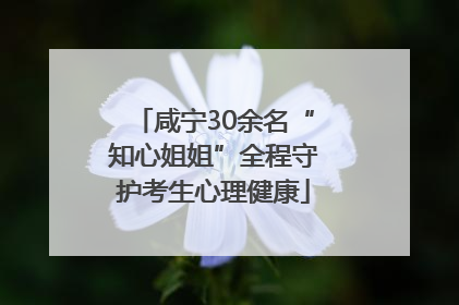 咸宁30余名“知心姐姐”全程守护考生心理健康