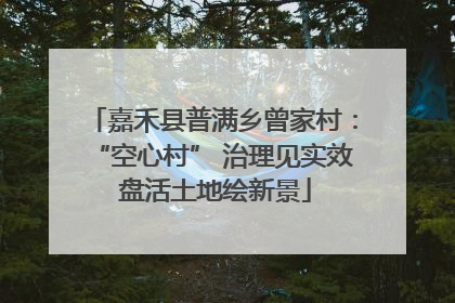 嘉禾县普满乡曾家村：“空心村” 治理见实效 盘活土地绘新景