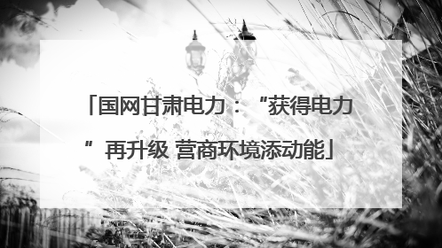 国网甘肃电力：“获得电力”再升级 营商环境添动能