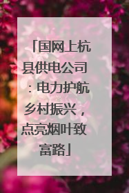 国网上杭县供电公司：电力护航乡村振兴，点亮烟叶致富路