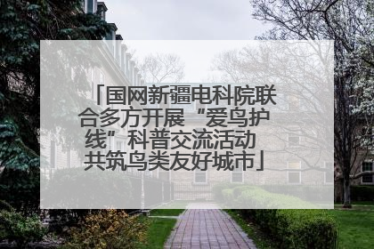 国网新疆电科院联合多方开展“爱鸟护线”科普交流活动 共筑鸟类友好城市