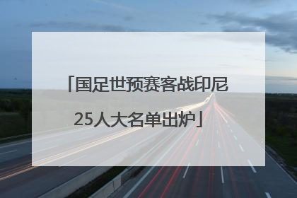 国足世预赛客战印尼25人大名单出炉