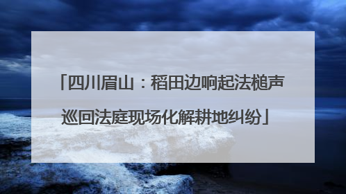 四川眉山：稻田边响起法槌声 巡回法庭现场化解耕地纠纷