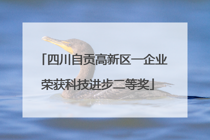 四川自贡高新区一企业荣获科技进步二等奖