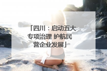 四川：启动五大专项治理 护航民营企业发展