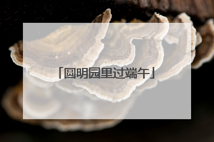 圆明园里过端午