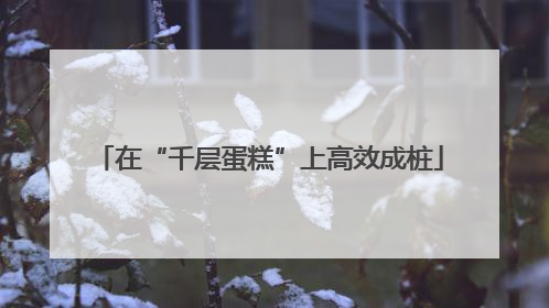 在“千层蛋糕”上高效成桩