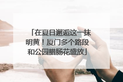 在夏日邂逅这一抹明黄！厦门多个路段和公园腊肠花盛放
