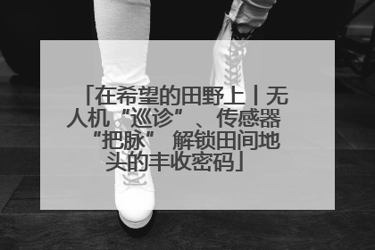 在希望的田野上丨无人机“巡诊”、传感器“把脉” 解锁田间地头的丰收密码