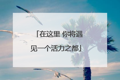 在这里 你将遇见一个活力之都