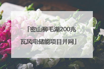 密山柳毛湖200兆瓦风电储能项目并网