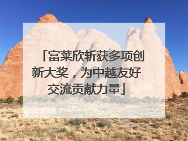 富莱欣斩获多项创新大奖，为中越友好交流贡献力量