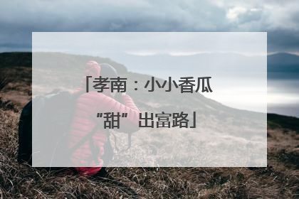 孝南：小小香瓜 “甜”出富路