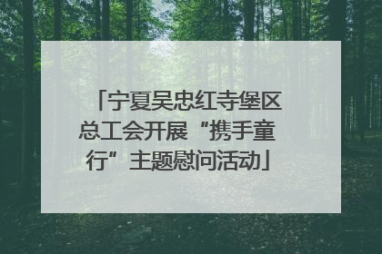宁夏吴忠红寺堡区总工会开展“携手童行”主题慰问活动