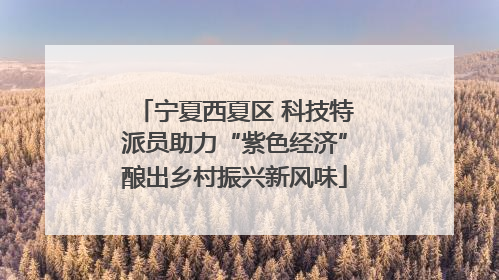 宁夏西夏区 科技特派员助力“紫色经济”酿出乡村振兴新风味