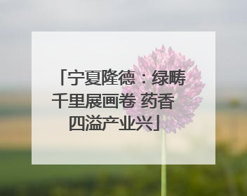 宁夏隆德：绿畴千里展画卷 药香四溢产业兴