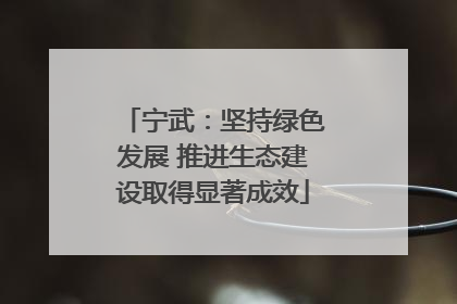 宁武：坚持绿色发展 推进生态建设取得显著成效