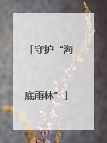 守护“海底雨林”
