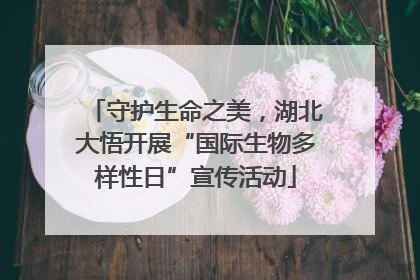 守护生命之美，湖北大悟开展“国际生物多样性日”宣传活动