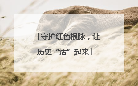 守护红色根脉，让历史“活”起来