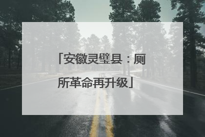 安徽灵璧县：厕所革命再升级