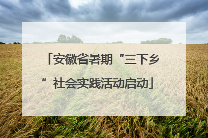 安徽省暑期“三下乡”社会实践活动启动