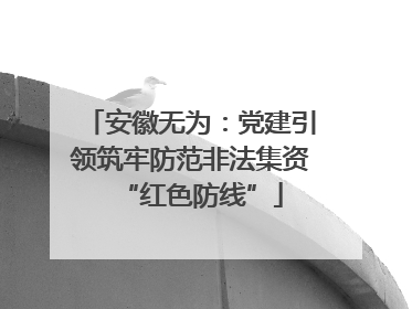 安徽无为：党建引领筑牢防范非法集资“红色防线”