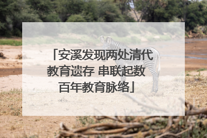 安溪发现两处清代教育遗存 串联起数百年教育脉络