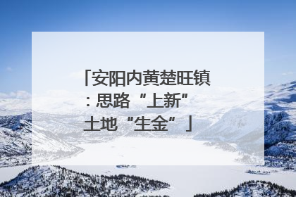 安阳内黄楚旺镇：思路“上新” 土地“生金”