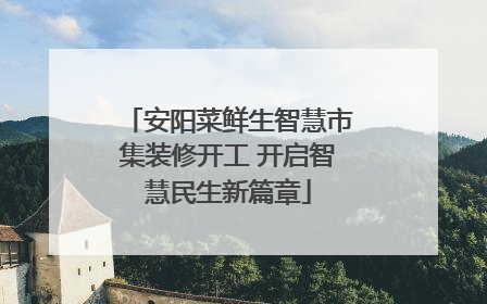 安阳菜鲜生智慧市集装修开工 开启智慧民生新篇章