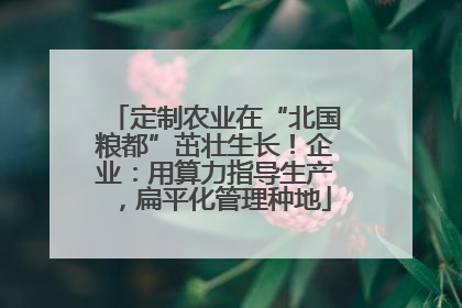 定制农业在“北国粮都”茁壮生长！企业：用算力指导生产，扁平化管理种地