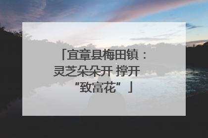 宜章县梅田镇：灵芝朵朵开 撑开“致富花”