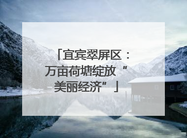宜宾翠屏区：万亩荷塘绽放“美丽经济”